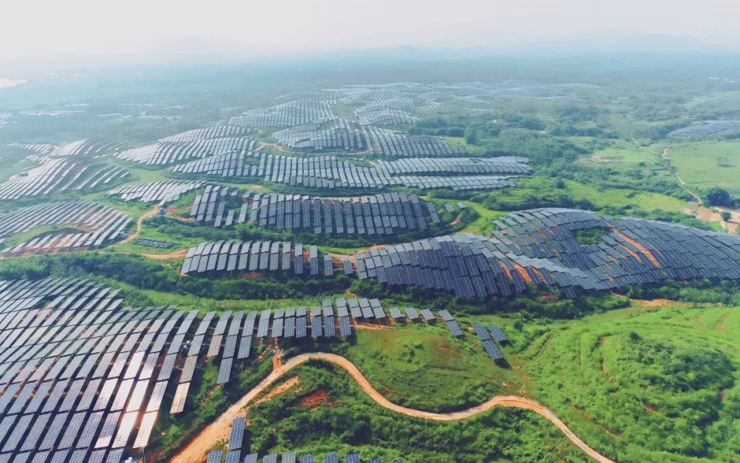 300MW！www.jinnianhui.com金年会体育科技广东农垦红十月农场农光互补项目满发并网